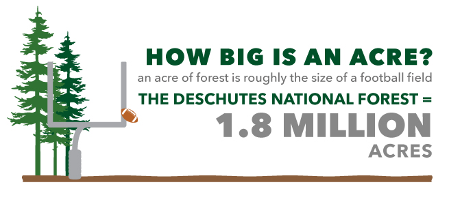 wildlife habitat restoration how big is the deschutes national forest