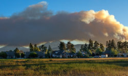 Webinar: Lessons from the Milli Fire