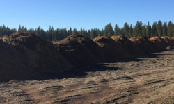 What is up with the Mulch Piles near Phil’s Trailhead?
