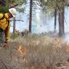 Prescribed Burning in Progress