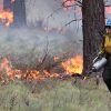 Prescribed Burning in Progress