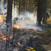 Prescribed Burning in Progress